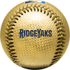 Salem RidgeYaks Rawlings Gold Baseball